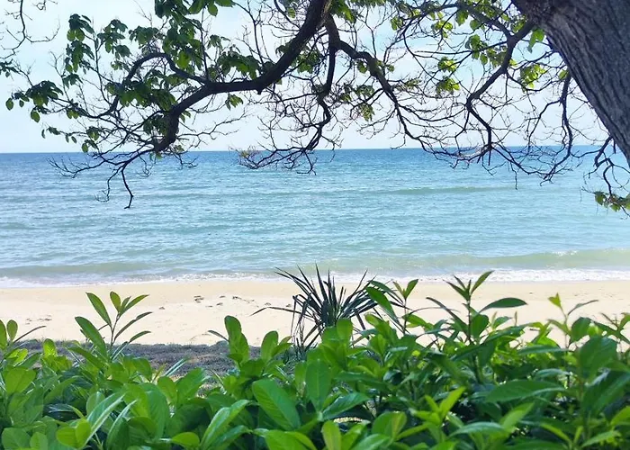 Sea View Apartament Elenite