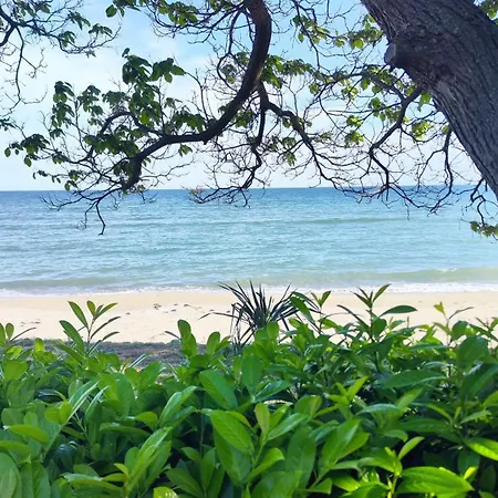 Sea View 아파트 엘레니테